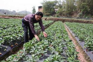 千兰吃瓜,揭秘娱乐圈幕后故事 第3张 千兰吃瓜,揭秘娱乐圈幕后故事 第3张