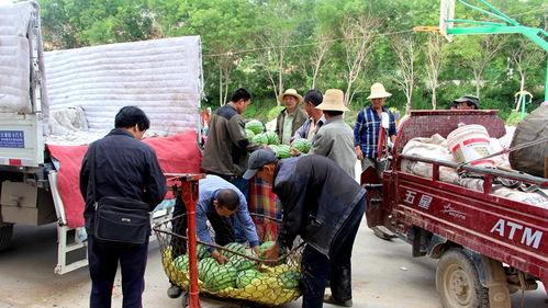 靖州吃瓜群众 第1张 靖州吃瓜群众 第1张