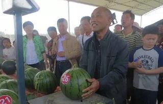 靖州吃瓜群众 第2张 靖州吃瓜群众 第2张