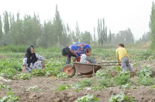 靖州吃瓜群众 第3张 靖州吃瓜群众 第3张
