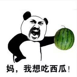 你可不可以吃瓜,你可知哪些明星的瓜是真是假? 第3张 你可不可以吃瓜,你可知哪些明星的瓜是真是假? 第3张