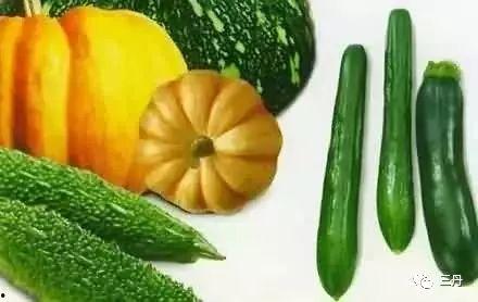 春天吃三瓜指的是哪三瓜,揭秘“春天吃三瓜”的养生之道  第2张