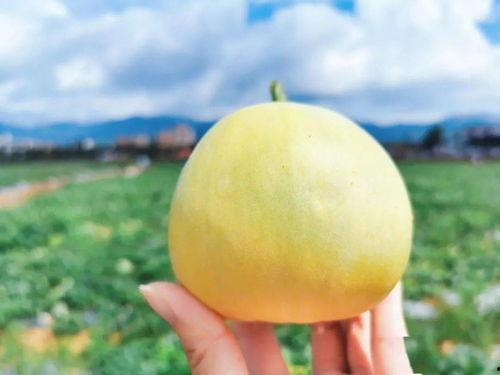 胡胡吃瓜,揭秘娱乐圈那些不为人知的幕后故事 第2张 胡胡吃瓜,揭秘娱乐圈那些不为人知的幕后故事 第2张