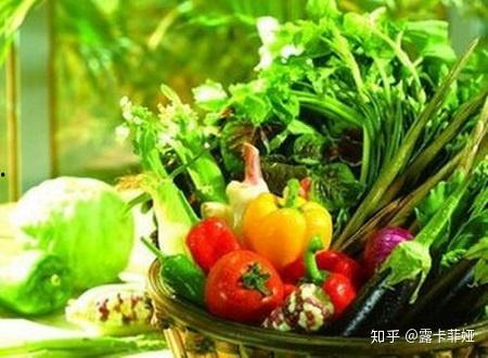 山东郓城菜棚吃瓜,瓜果飘香,共享田园生活 第1张 山东郓城菜棚吃瓜,瓜果飘香,共享田园生活 第1张