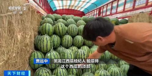 QQ吃瓜钱,揭秘社交平台的新潮流  第3张