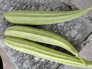 改不了吃瓜的毛病  第2张