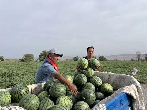 瓦舍员工吃瓜  第1张