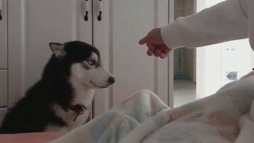 白眼吃瓜小说,揭秘娱乐圈背后的秘密与真相  第2张