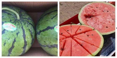 吃瓜学习最新,揭秘娱乐圈背后的故事与真相  第1张