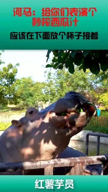 河马吃瓜gif  第2张