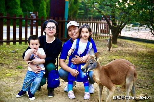 河马吃瓜gif  第3张