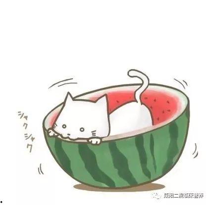 吃瓜卡通 图片,趣味横生的视觉盛宴  第2张