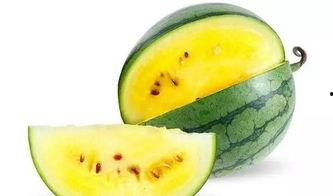 旧瓜怎么吃最好,探索最佳食用旧瓜的秘诀  第1张