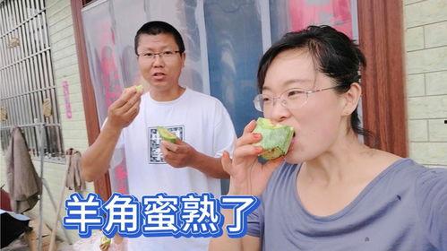 村里老嫂子吃瓜,笑谈家常乐无边 第3张 村里老嫂子吃瓜,笑谈家常乐无边 第3张