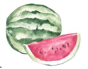 吃瓜和工作的区别,轻松与责任的双重解读  第2张