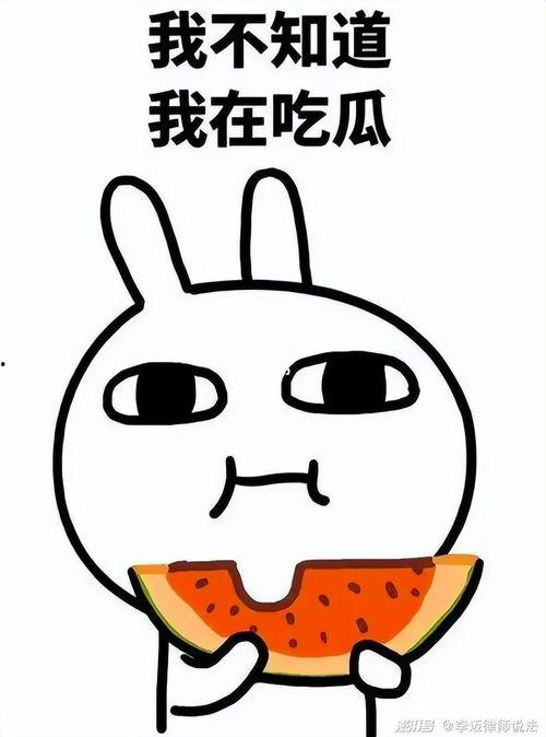 小鬼吃瓜后续,揭秘娱乐圈背后的秘密与真相  第1张