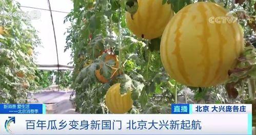 候场吃瓜,揭秘明星们的“吃瓜”生活 第2张 候场吃瓜,揭秘明星们的“吃瓜”生活 第2张