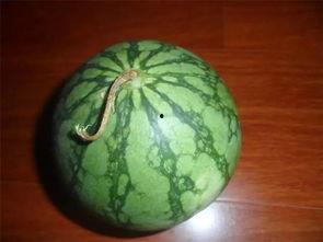 老是吃瓜 第2张 老是吃瓜 第2张