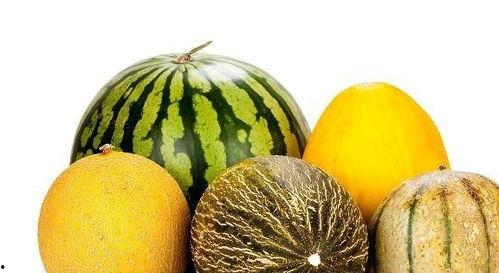 老是吃瓜 第3张 老是吃瓜 第3张