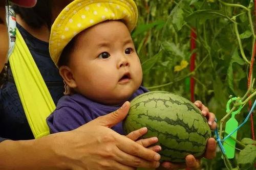 免费吃瓜群2022  第2张