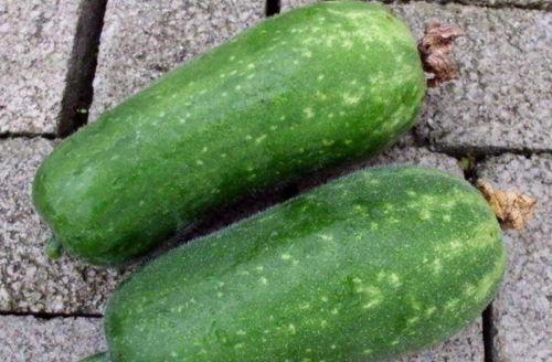 胡女士吃瓜文档,揭秘娱乐圈幕后真相  第3张