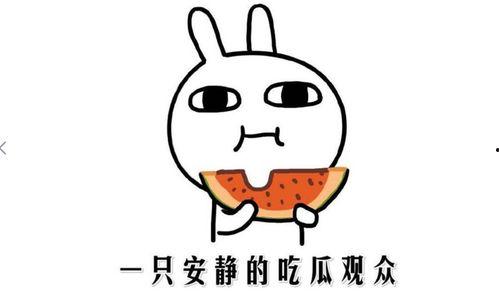 吃瓜事件起因,揭秘吃瓜事件背后的真相与争议  第1张