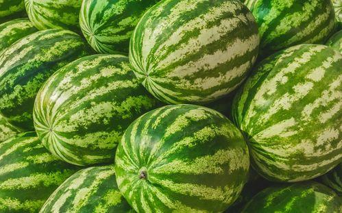 镜子里有人吃瓜,揭秘镜子里吃瓜的奇幻瞬间 第3张 镜子里有人吃瓜,揭秘镜子里吃瓜的奇幻瞬间 第3张