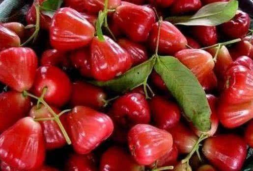 莲雾视频吃瓜网址,带你领略网络热点的魅力  第1张