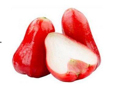 莲雾视频吃瓜网址,带你领略网络热点的魅力  第3张