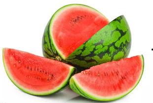 妙妙吃自己的瓜,一场关于成长与反思的奇妙之旅 第2张 妙妙吃自己的瓜,一场关于成长与反思的奇妙之旅 第2张