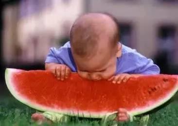 妙妙吃自己的瓜,一场关于成长与反思的奇妙之旅 第3张 妙妙吃自己的瓜,一场关于成长与反思的奇妙之旅 第3张