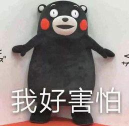 盘点吃瓜各个事件,盘点吃瓜群众眼中的娱乐圈风云变幻  第3张