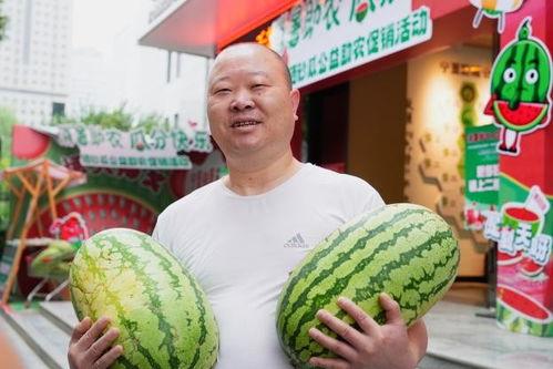 公益活动吃瓜,共享爱心盛宴  第1张