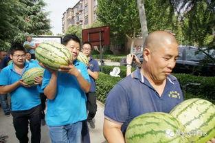 公益活动吃瓜,共享爱心盛宴  第2张