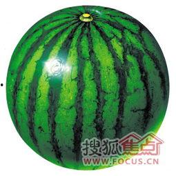 吃沙白瓜发胖吗,吃沙白瓜真的会发胖吗?揭秘瓜类热量与体重关系 第2张 吃沙白瓜发胖吗,吃沙白瓜真的会发胖吗?揭秘瓜类热量与体重关系 第2张