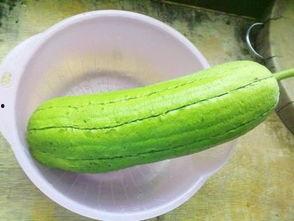 盐城水瓜怎么吃  第1张