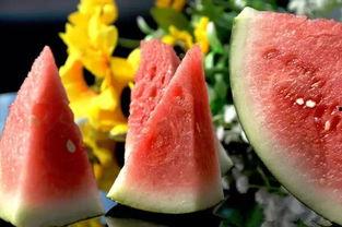 吃瓜西瓜照片大全,吃瓜西瓜照片大全集锦  第1张