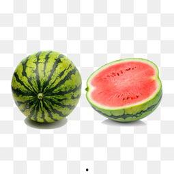 吃瓜西瓜照片大全,吃瓜西瓜照片大全集锦  第3张