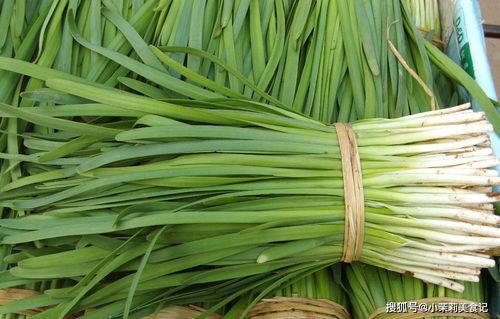 韭菜吃瓜  第3张