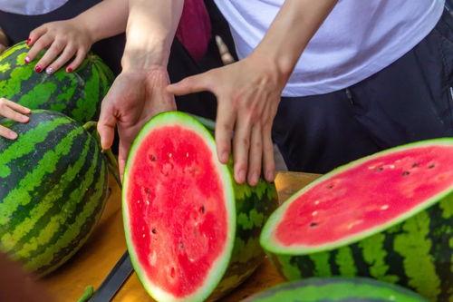 江苏传媒学院吃瓜  第2张