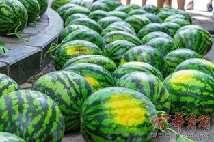 江苏传媒学院吃瓜  第3张