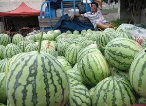 高速上吃瓜  第1张