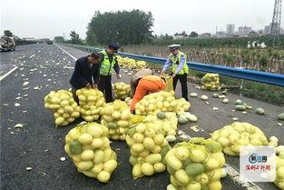 高速上吃瓜  第2张