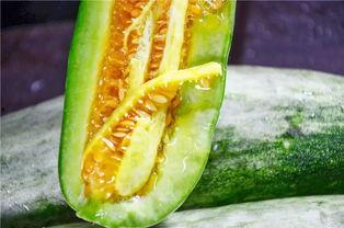 瓜可以做什么吃,解锁夏日瓜类美食新境界  第3张