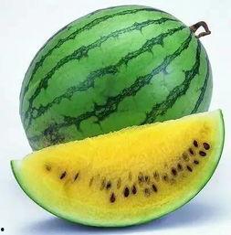 吃瓜别忘训练,健康生活两不误  第2张