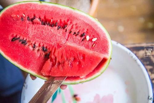 吃瓜是在旁边吃瓜  第2张