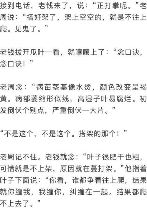 吃瓜群众文集,揭秘娱乐圈幕后故事  第1张