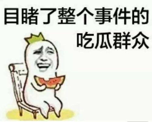 吃瓜群众文集,揭秘娱乐圈幕后故事  第3张