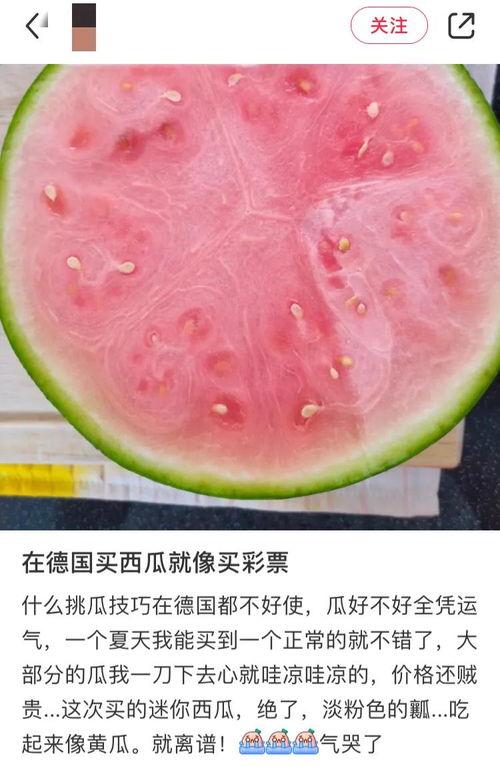 吃瓜全网最全  第1张