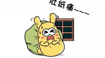 吃瓜群众小杨,揭秘娱乐圈那些事儿  第1张